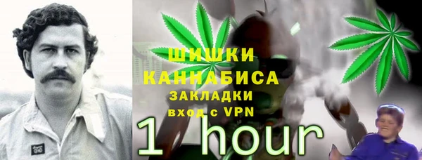эйфоретик Теберда