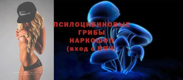 дживик Алзамай