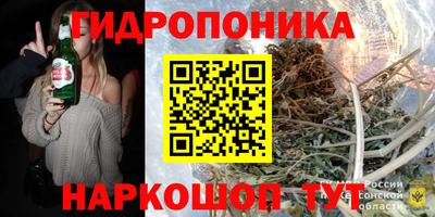 твердый Можга