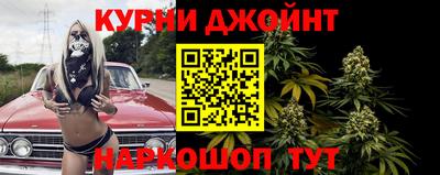 сатива Можайск