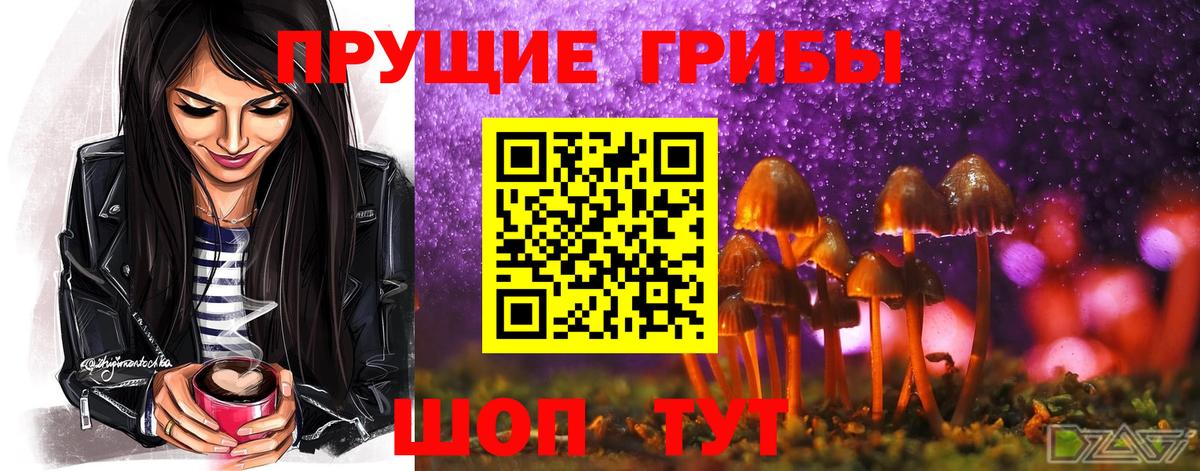 Галлюциногенные грибы мицелий  Вход с VPN  Удомля  Псилоцибиновые грибы прущие грибы 